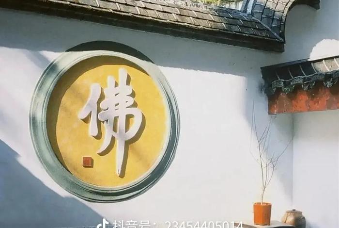抖音上有学佛的要加微信 - 抖音讲佛学
