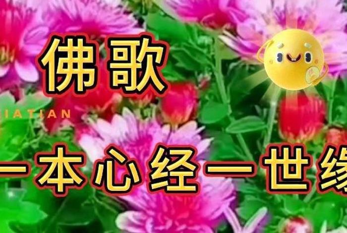 佛教开智慧的佛歌，智慧的佛教语