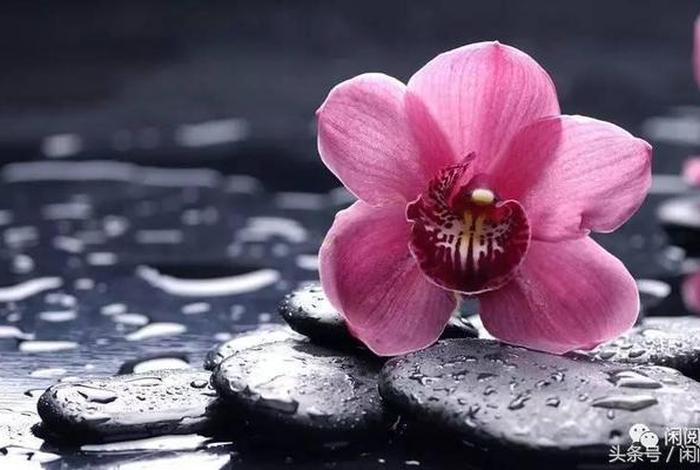 如何破除六根六识（六根 六识）