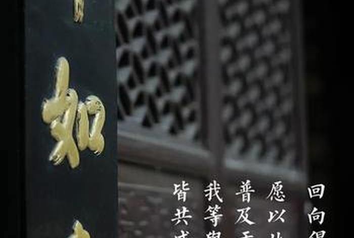 感恩善知识的诗佛教诗句（感恩善知识的诗佛教诗句大全）