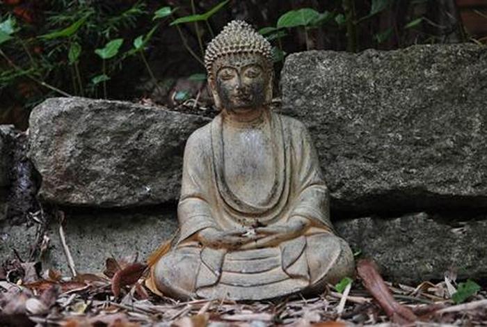 佛教驱除贪淫 佛教怎么去除贪心