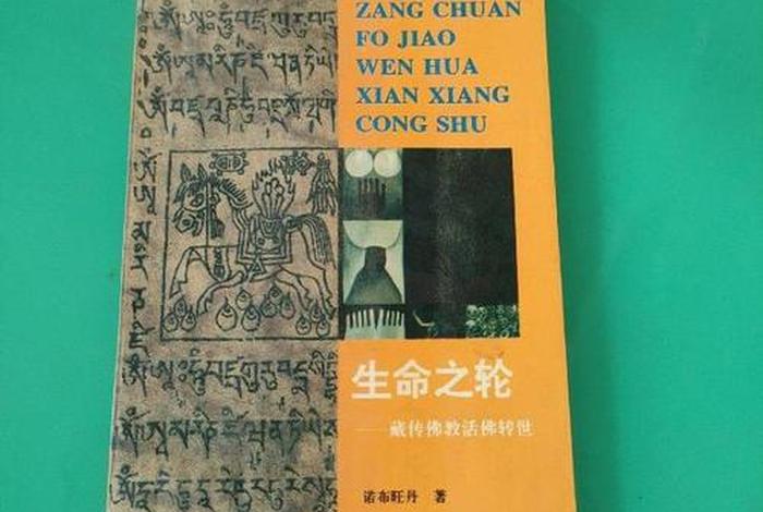 藏传佛教中转世的知识有哪些（藏传佛教中转世的知识有哪些内容）