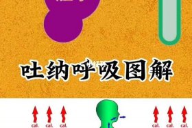 佛教呼吸吐纳心法 - 佛教呼吸吐纳心法视频
