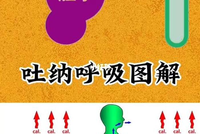佛教呼吸吐纳心法 - 佛教呼吸吐纳心法视频
