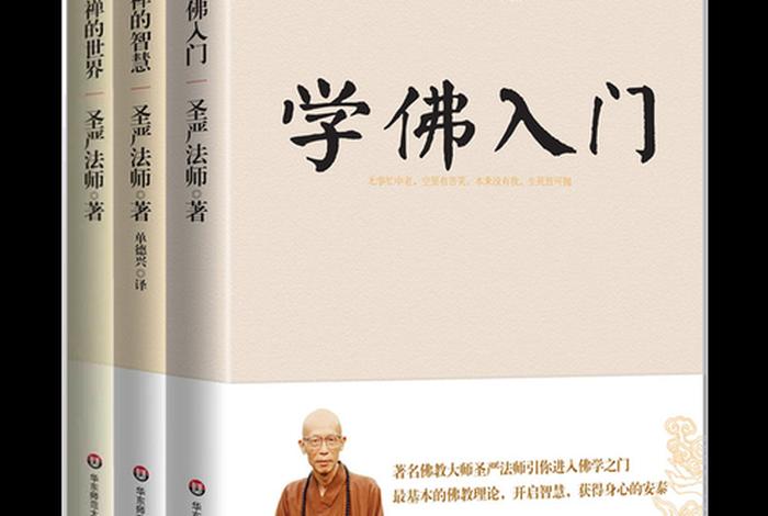 成庆佛学入门四十讲 成庆讲的佛教的智慧世界