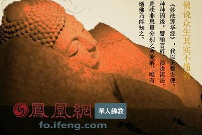 佛法什么是聪明,什么是智慧 - 佛说聪明的人