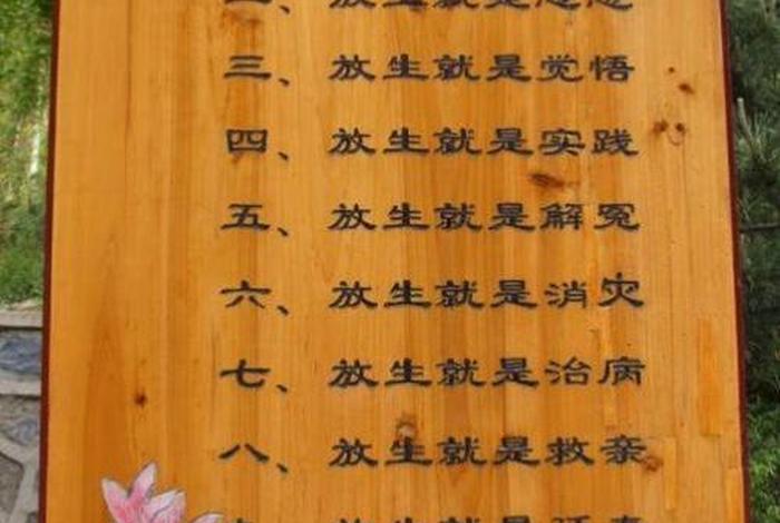 佛教放生的功德、佛教放生的功德与作用