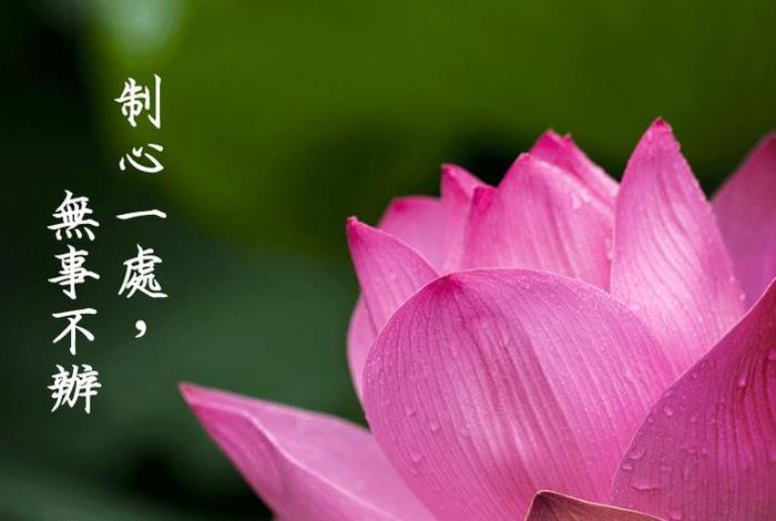 佛学基础词汇很全面值得收藏,佛学常见词汇一书版本 佛学基础词汇很全面值得收藏,佛学常见词汇一书版本