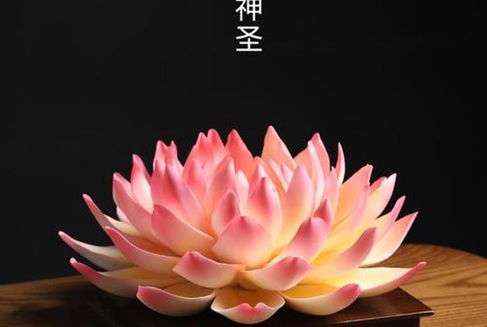 莲的佛教禅意，佛教莲花的寓意