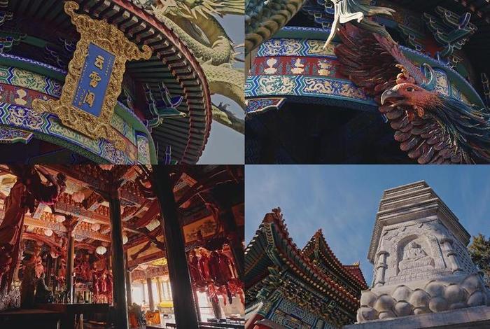 寺庙知识视频大全、寺庙的视频