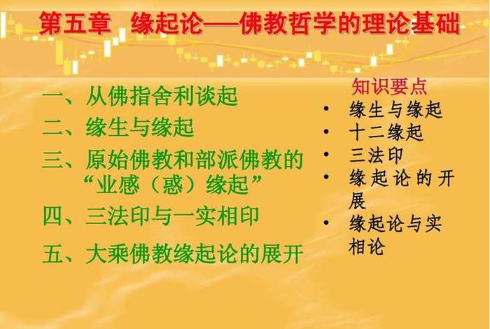 佛教知识类视频解说下载网站 佛教知识视频讲解