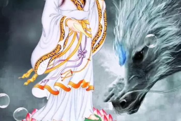 佛教感人肺腑短视频；佛教短片