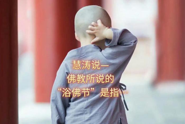 健康知识讲座 佛教心得体会（佛教关于健康的话语）