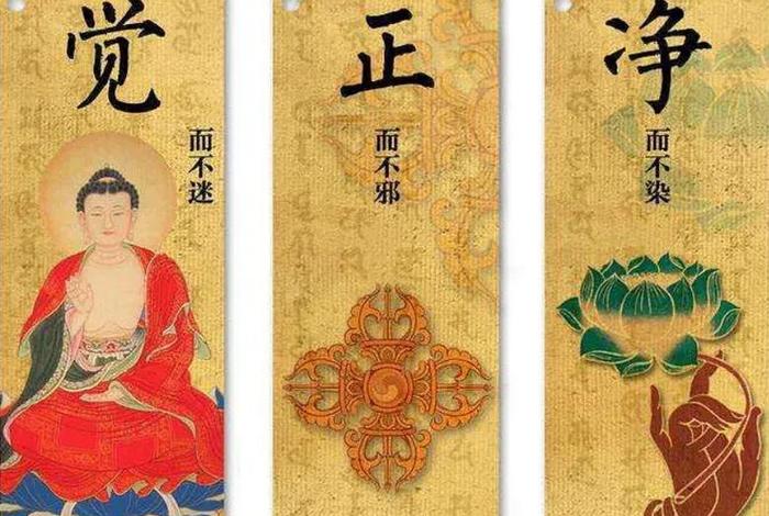 善知识的视频（善知识的视频怎么拍）