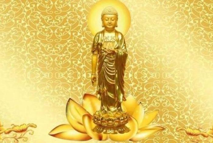 佛教关注现实人生 佛教关注现实人生的意义