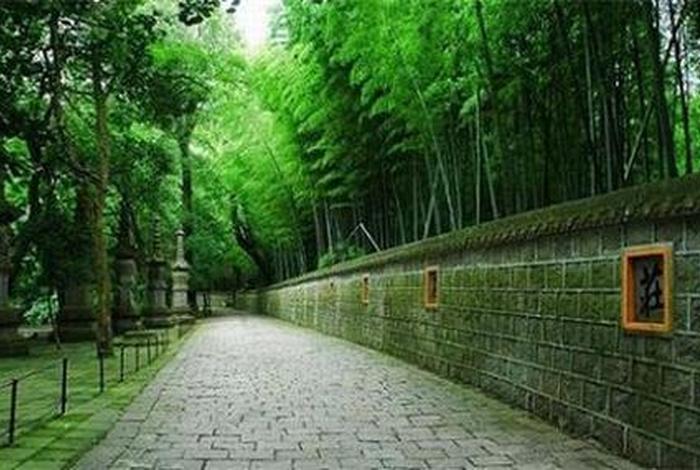佛教丛林知识 佛教丛林是什么意思