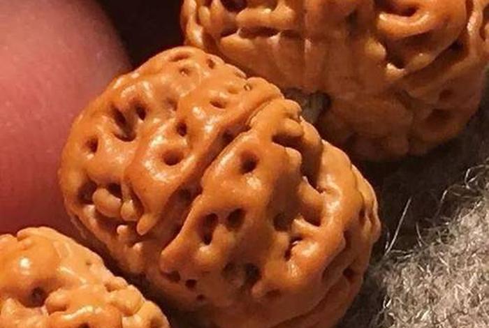 刘素云老师讲菩提，刘素云老师讲菩提之路第三集七个一