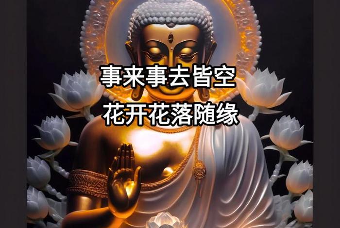 抖音佛学大师解惑，抖音佛学大师解惑视频