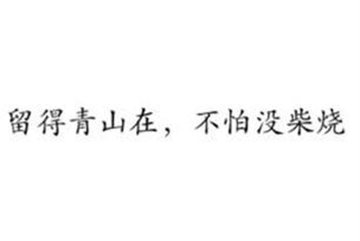 烧烧啥意思 - 烧烧烧是什么歌