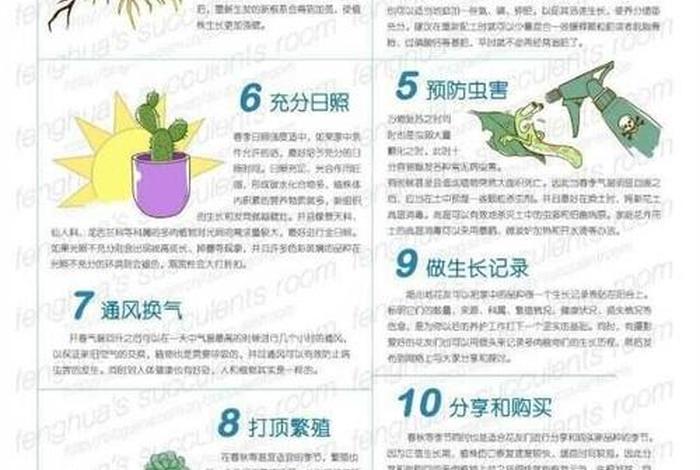多肉植物入门基础知识，多肉植物的养殖方法(新手入门)