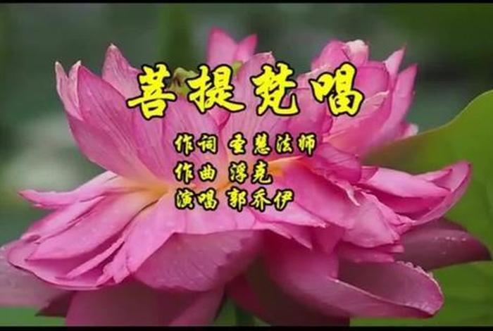 最新佛教音乐天地视频（佛教天地网站）