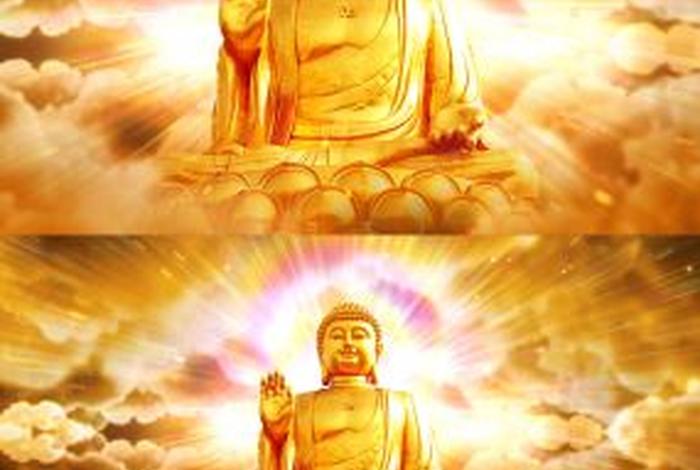 关于佛教的视频大全 关于佛教的视频大全短片
