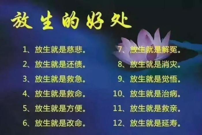放生的意义与功德 - 放生的十种功德详解
