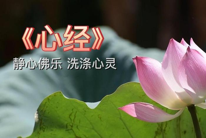 佛教静心禅乐100首、佛教静心禅乐100首视频