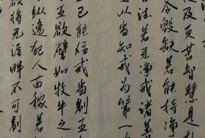 佛教遗经的重点知识是什么（《佛遗教经》）