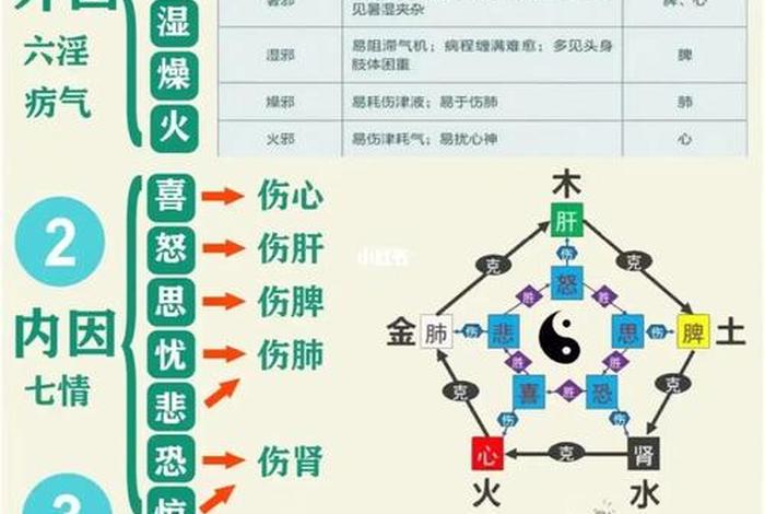 老年人学中医基础知识 - 老年人中医健康知识内容