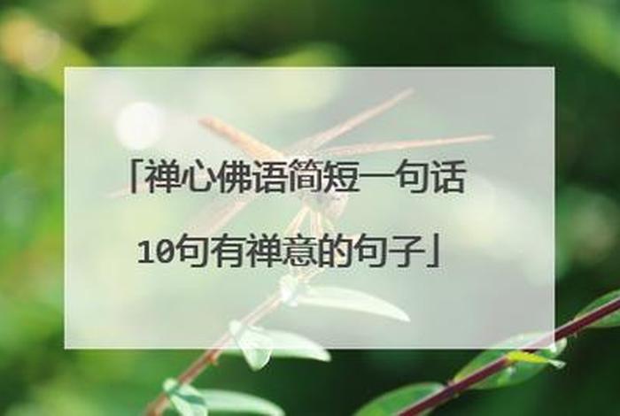 有关佛语的软件 佛语用词