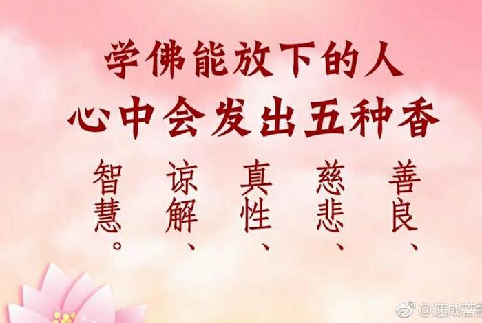怎样发菩提心方法学佛网，怎样才能发菩提心