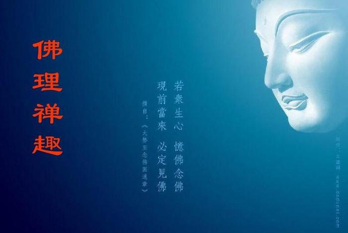 佛教基础教学第一课 佛教基础知识视频讲座