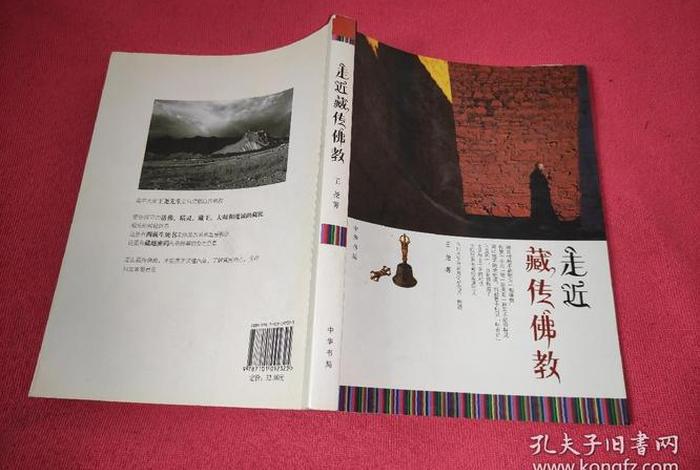 走进藏传佛教 - 走进藏传佛教pdf
