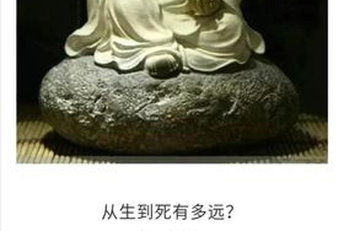 经典佛学哲理，佛学的哲理