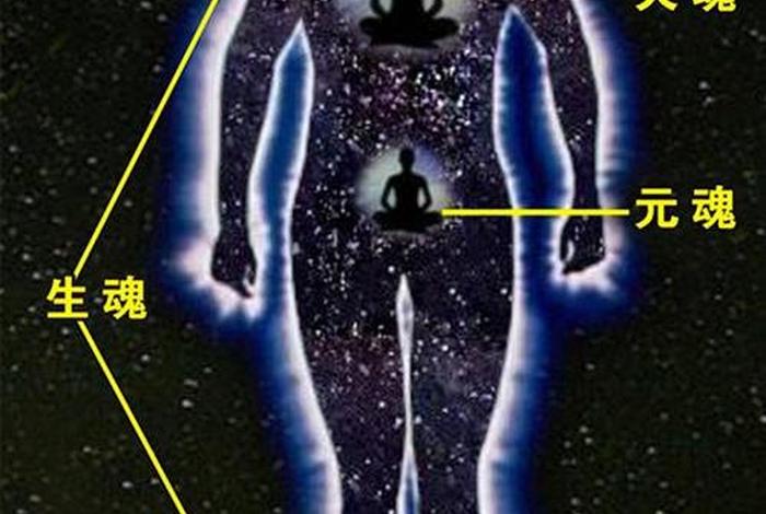 佛教关于宇宙的描述、佛学中的宇宙