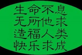 修福慧所有方法（修福慧最快方法）