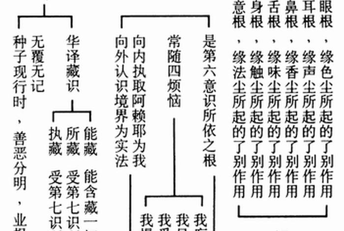 佛教八识最精确的解释，末那识和阿赖耶识的关系