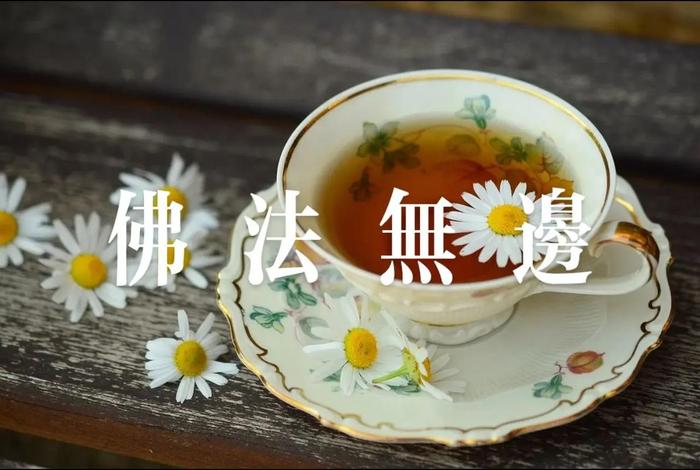 新佛法什么意思、百度新佛曰