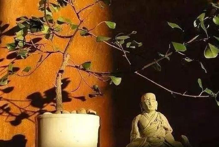 戒定慧的修行方法；戒定慧的深度解析