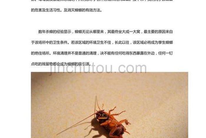 佛弟子怎么驱赶家里的蟑螂（佛弟子如何驱赶蟑螂）
