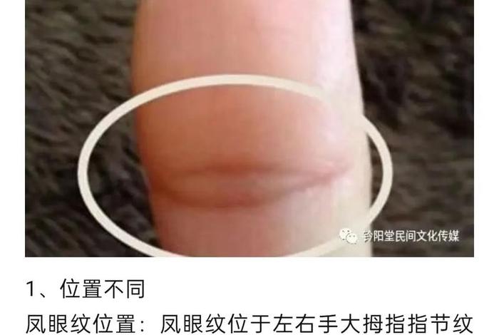 佛眼通的原理以及感悟 什么叫佛眼通