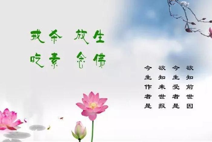 佛教放生经文是什么，佛经 放生