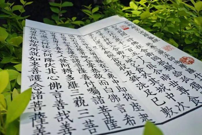 学习佛法对家庭有哪些危害 学佛对家庭的影响