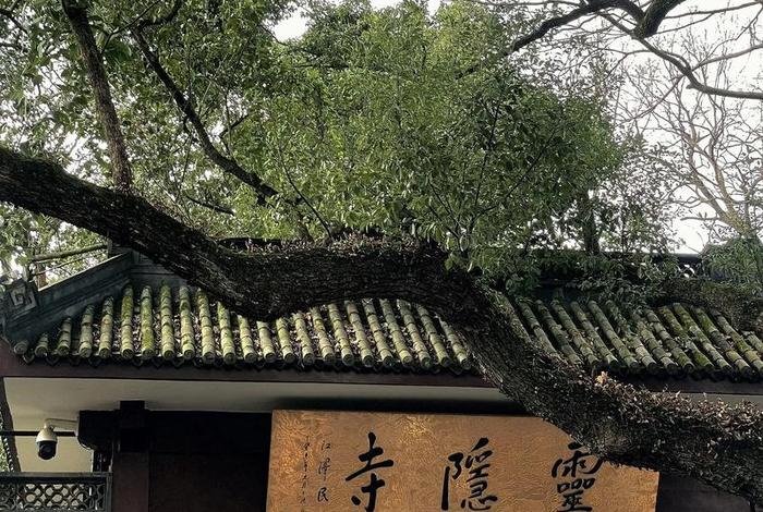 灵隐寺的文化 灵隐寺的文化特色