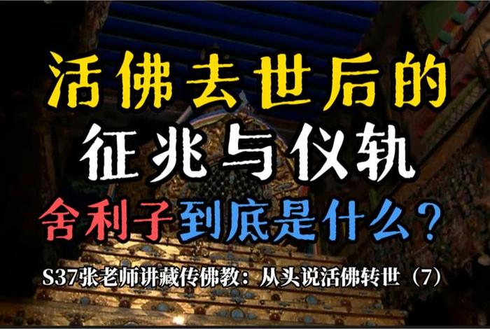 孙老师说佛教知识的句子 - 张老师讲佛法