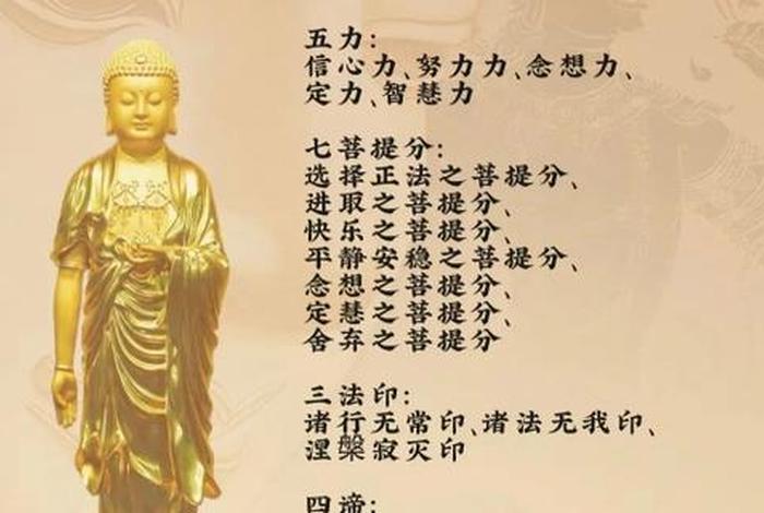 佛学常识视频大全、佛教知识视频