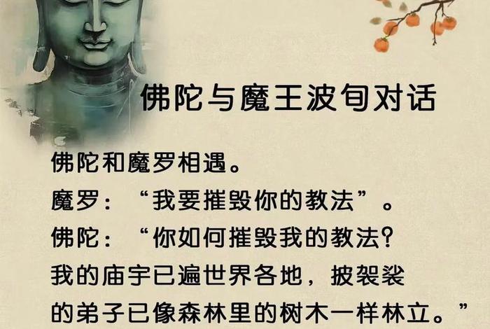 佛教智慧知识大全视频；佛学智慧视频