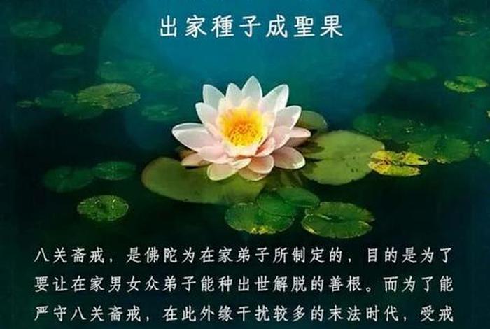 什么叫八关斋戒？内容是什么视频（什么叫八关斋戒？内容是什么视频介绍）