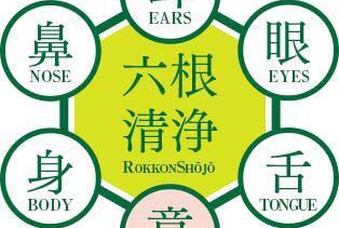 佛教六根八识是哪，佛教六根从何而来